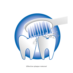 Brosse à dent électrique Proficare PC-EZS 3000 Blanc