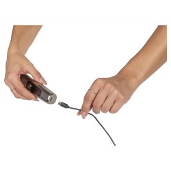 Tondeuse à cheveux/barbe professionnelle Noir Proficare PC-HSM/R3143-Argente